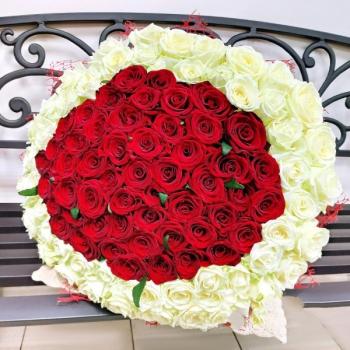 Букет 101 красно-белая роза Артикул - 240178u